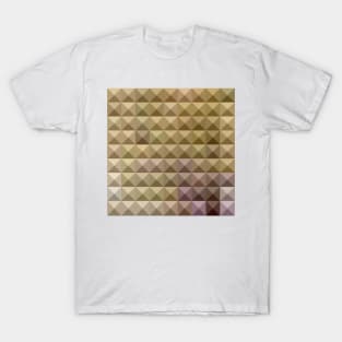 Burlywood Brown Abstract Low Polygon Background T-Shirt